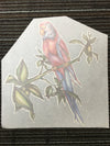 Parrot Iron On