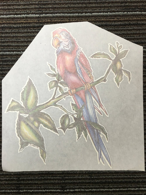 Parrot Iron On