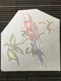 Parrot Iron On